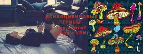 первитин Инсар