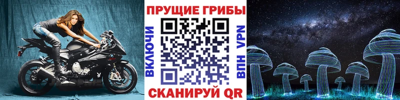 Псилоцибиновые грибы Cubensis  Купить  Железногорск-Илимский 