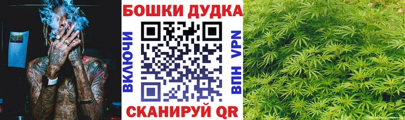 Купить закладки  Железногорск-Илимский  Канабис LSD WEED 